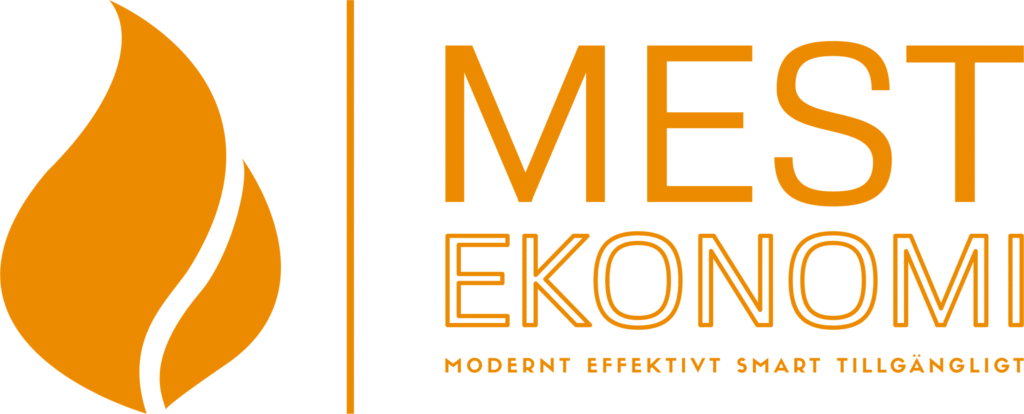 MEST-EKONOMI-ORANGE-scaled.png